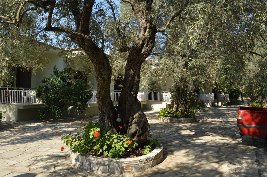 Guesthouse Irene Афісос Екстер'єр фото
